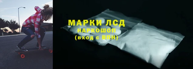 хмурый Алзамай