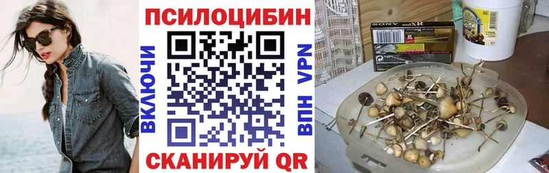 Купить где  Николаевск-на-Амуре  Галлюциногенные грибы Cubensis 